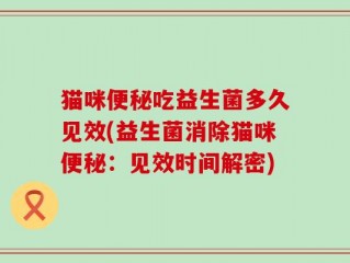 猫咪便秘吃益生菌多久见效(益生菌消除猫咪便秘：见效时间解密)