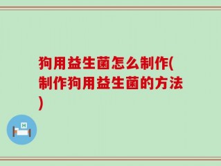 狗用益生菌怎么制作(制作狗用益生菌的方法)