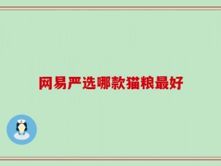 网易严选哪款猫粮最好