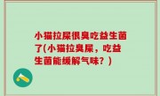 小猫拉屎很臭吃益生菌了(小猫拉臭屎，吃益生菌能缓解气味？)