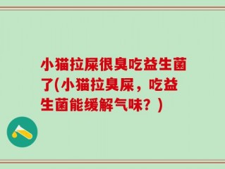 小猫拉屎很臭吃益生菌了(小猫拉臭屎，吃益生菌能缓解气味？)