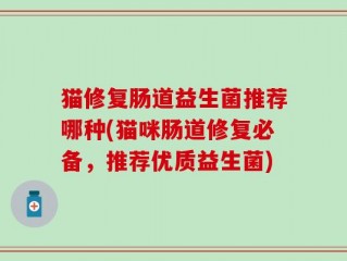 猫修复肠道益生菌推荐哪种(猫咪肠道修复必备，推荐优质益生菌)