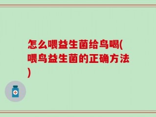 怎么喂益生菌给鸟喝(喂鸟益生菌的正确方法)