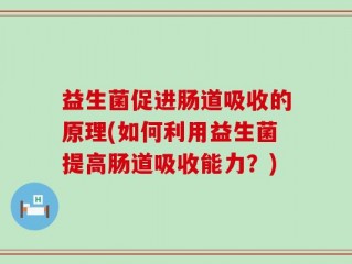 益生菌促进肠道吸收的原理(如何利用益生菌提高肠道吸收能力？)