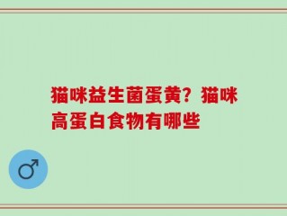 猫咪益生菌蛋黄？猫咪高蛋白食物有哪些