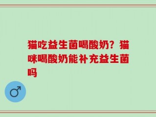 猫吃益生菌喝酸奶？猫咪喝酸奶能补充益生菌吗