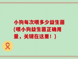 小狗每次喂多少益生菌(喂小狗益生菌正确用量，关键在这里！)