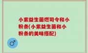 小紫益生菌燃司令和小粉条(小紫益生菌和小粉条的美味搭配)