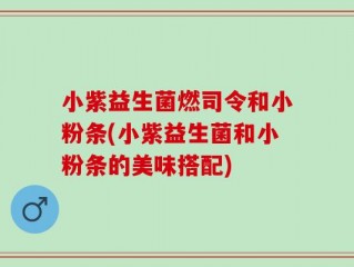小紫益生菌燃司令和小粉条(小紫益生菌和小粉条的美味搭配)
