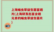 上海蛹虫草益生菌富硒片(上海研发出富含硒元素的蛹虫草益生菌片)