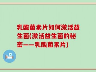 乳酸菌素片如何激活益生菌(激活益生菌的秘密——乳酸菌素片)