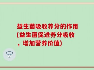 益生菌吸收养分的作用(益生菌促进养分吸收，增加营养价值)