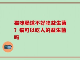 猫咪肠道不好吃益生菌？猫可以吃人的益生菌吗