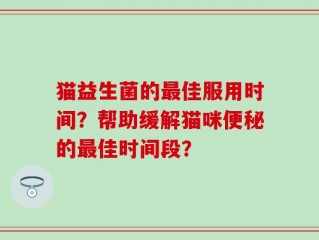 猫益生菌的最佳服用时间？帮助缓解猫咪便秘的最佳时间段？