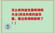 怎么挑狗益生菌呢视频大全(挑选狗用的益生菌，看这些视频就够了！)