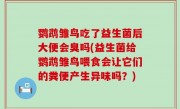 鹦鹉雏鸟吃了益生菌后大便会臭吗(益生菌给鹦鹉雏鸟喂食会让它们的粪便产生异味吗？)