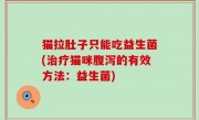 猫拉肚子只能吃益生菌(治疗猫咪腹泻的有效方法：益生菌)