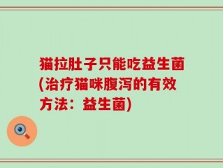 猫拉肚子只能吃益生菌(治疗猫咪腹泻的有效方法：益生菌)
