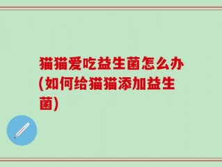 猫猫爱吃益生菌怎么办(如何给猫猫添加益生菌)