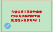 布偶猫益生菌能放水里吃吗(布偶猫的益生菌能泡在水里食用吗？)