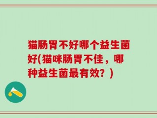 猫肠胃不好哪个益生菌好(猫咪肠胃不佳，哪种益生菌最有效？)
