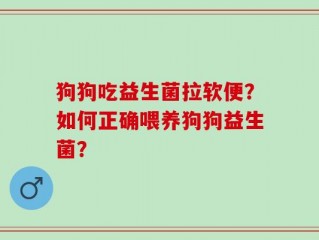 狗狗吃益生菌拉软便？如何正确喂养狗狗益生菌？