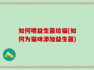 如何喂益生菌给猫(如何为猫咪添加益生菌)