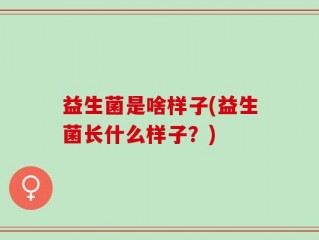 益生菌是啥样子(益生菌长什么样子？)