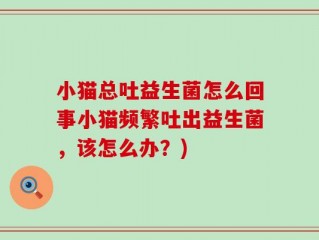 小猫总吐益生菌怎么回事小猫频繁吐出益生菌，该怎么办？)