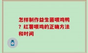 怎样制作益生菌喂鸡鸭？红薯喂鸡的正确方法和时间