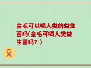 金毛可以喝人类的益生菌吗(金毛可喝人类益生菌吗？)