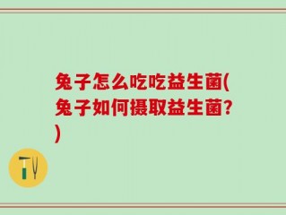兔子怎么吃吃益生菌(兔子如何摄取益生菌？)