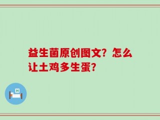 益生菌原创图文？怎么让土鸡多生蛋？