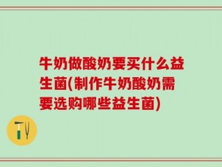 牛奶做酸奶要买什么益生菌(制作牛奶酸奶需要选购哪些益生菌)