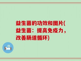 益生菌的功效和图片(益生菌：提高免疫力，改善肠道循环)