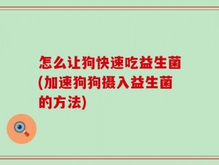 怎么让狗快速吃益生菌(加速狗狗摄入益生菌的方法)