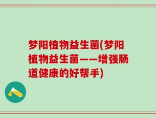 梦阳植物益生菌(梦阳植物益生菌——增强肠道健康的好帮手)
