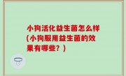 小狗活化益生菌怎么样(小狗服用益生菌的效果有哪些？)