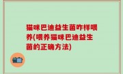 猫咪巴迪益生菌咋样喂养(喂养猫咪巴迪益生菌的正确方法)