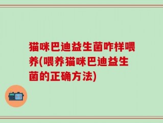 猫咪巴迪益生菌咋样喂养(喂养猫咪巴迪益生菌的正确方法)
