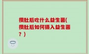 攒肚后吃什么益生菌(攒肚后如何摄入益生菌？)