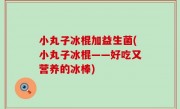 小丸子冰棍加益生菌(小丸子冰棍——好吃又营养的冰棒)