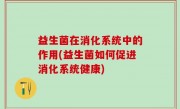 益生菌在消化系统中的作用(益生菌如何促进消化系统健康)