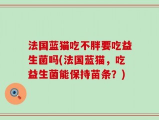 法国蓝猫吃不胖要吃益生菌吗(法国蓝猫，吃益生菌能保持苗条？)