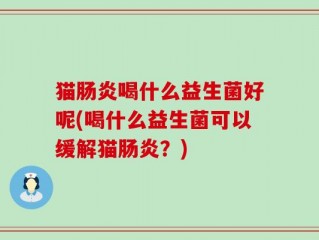 猫肠炎喝什么益生菌好呢(喝什么益生菌可以缓解猫肠炎？)