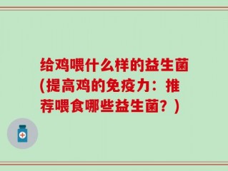 给鸡喂什么样的益生菌(提高鸡的免疫力：推荐喂食哪些益生菌？)