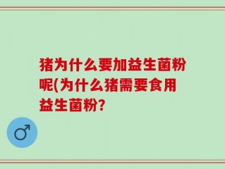 猪为什么要加益生菌粉呢(为什么猪需要食用益生菌粉？