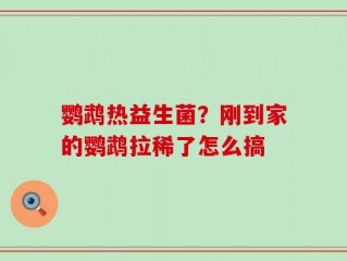 鹦鹉热益生菌？刚到家的鹦鹉拉稀了怎么搞