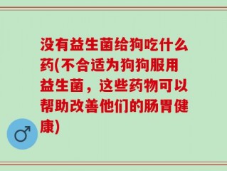没有益生菌给狗吃什么药(不合适为狗狗服用益生菌，这些药物可以帮助改善他们的肠胃健康)