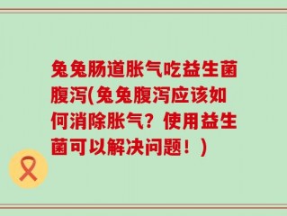兔兔肠道胀气吃益生菌腹泻(兔兔腹泻应该如何消除胀气？使用益生菌可以解决问题！)